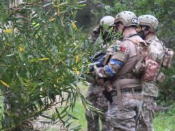 2025-06-01 THE GAME - OPERATION TRACKING DOG